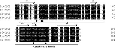Identification of Five Key Genes Involved in Intrinsic Apoptotic Pathway From Yellow Catfish Pelteobagrus fulvidraco and Their Transcriptional Responses to High Fat Diet (HFD)